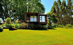 Forest View Cabins